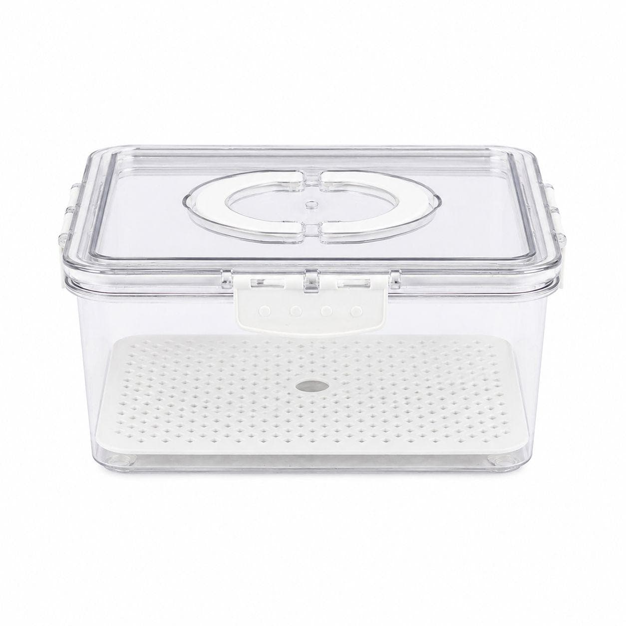 Clear Vegetable Storage Container with Drain Tray and Handle 2