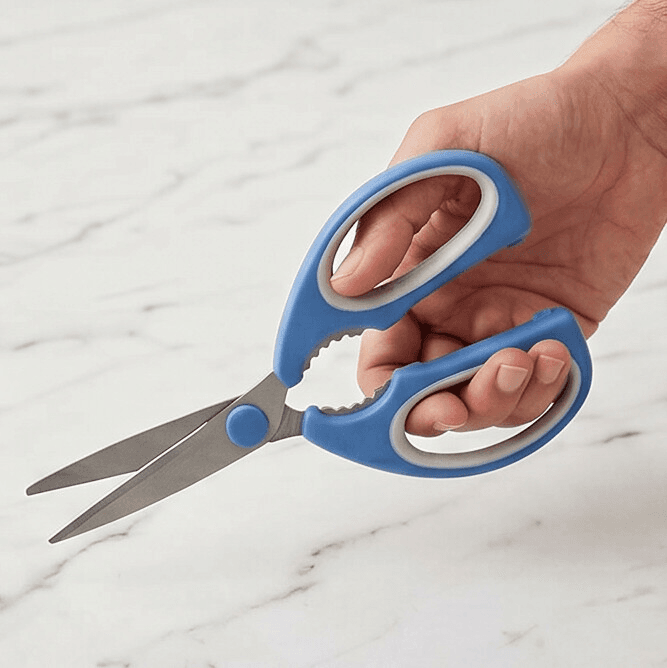 Stainless Steel Kitchen Scissors