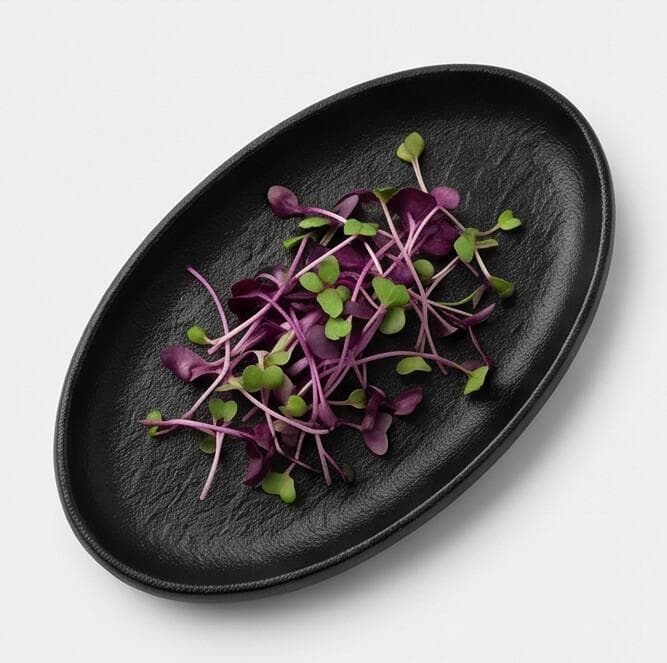 Black Melamine Oval Serving Dish for Appetizers and Side Dishes 27.6×15.3×3.4 cm
 4