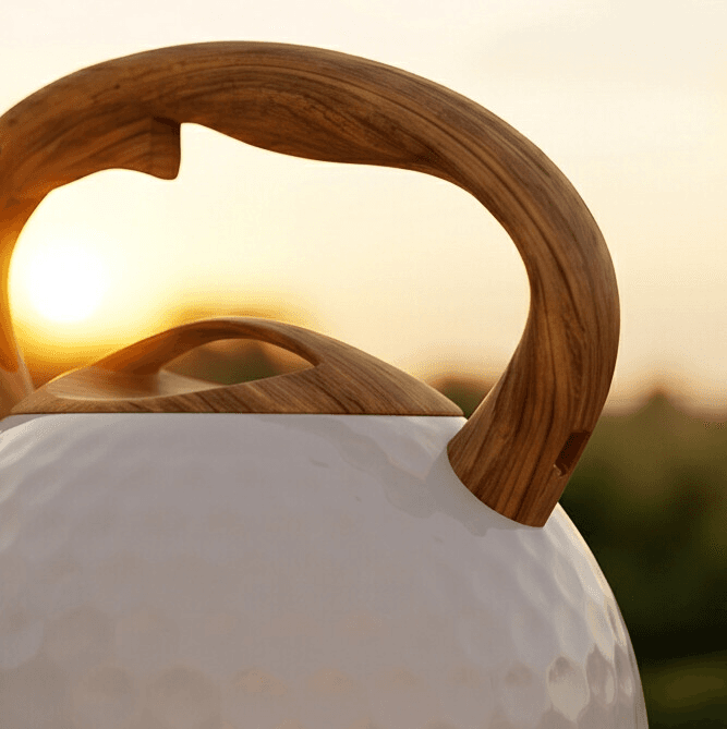 Elegant Wooden-Handle Water Kettle 5